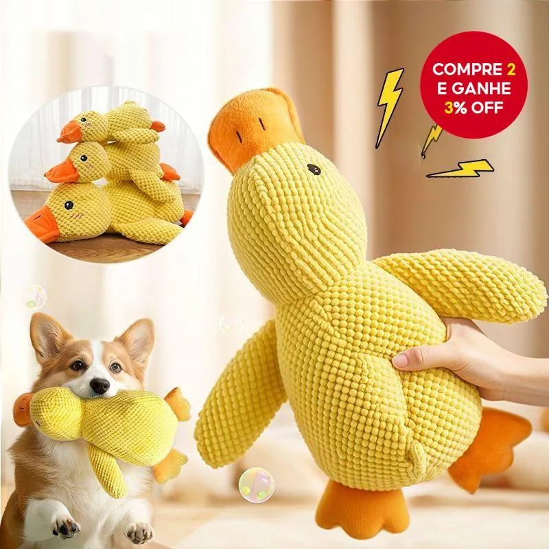 Brinquedo de Pelúcia Pato Ladrê para Cães; Brinquedo Dental e Urso de Pelúcia para Gastar Energia.